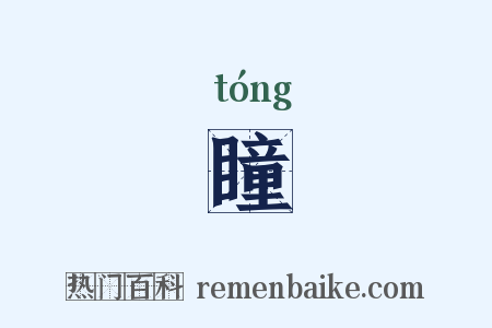 瞳是什么意思的图片